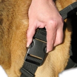 AST Get A Grip Harness Detail