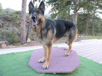 Wyatt works out on homemade wobble board