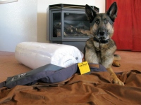 Ruffwear Urban Sprawl Dog Bed