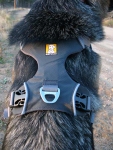 Ruffwear Front Range Harness