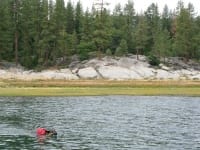 Wyatt swims Shaver Lake in Ruffwear Float Coat