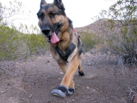 Ruffwear Grip Trex Dog Boots