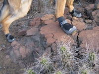 Ruffwear Grip Trex Dog Boots