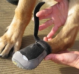 How to put on Ruffwear Grip Trex dog boots