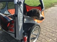 ManniStroller