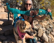 Tripawd Ruffwear Flagline Harness