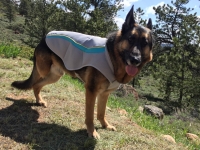 Ruffwear Swamp Cooler for Dogs