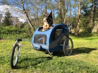 Best Tripawd Dog Stroller