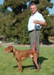 Arnie Demonstrates the Bottom\'s Up Leash for Senior Dogs