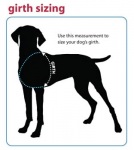 How To Measure Dog Girth for Best Harness Fit