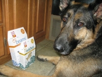 Wyatt Loves Honest Kitchen Fish Treats