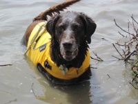 Libby Swims