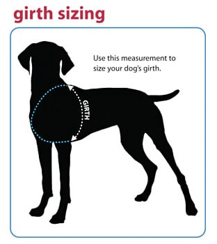 How to measure dog girth for best harness fit