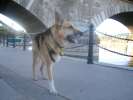 At London Bridge in Lake Havasu, CA