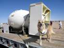 Atomic Dog Jerry with a Bomb Casing at the Trinity Site