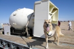 Atomic Dog Jerry with a Bomb Casing at the Trinity Site