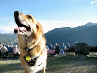 Jerry enjoys the view of Cinnamon Pass from the Vickers Ranch Gold Hill Steak Fry