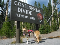 Jerry crosses the Continental Divide, again.