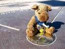 Spirit Jerry Sits on the Four Corners State Marker