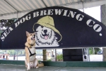 Sea Dog Brewery in Bangor Maine