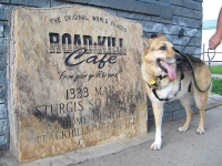 At the Roadkill Cafe in Sturgis, ND
