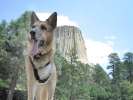 At Bear's Lodge in Wyoming