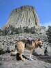 Climbing Devil's Tower