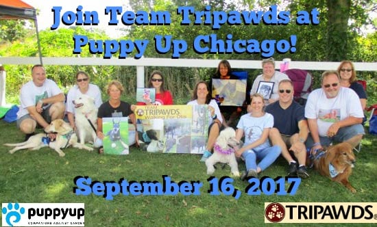 Tripawds PuppyUp Chicago