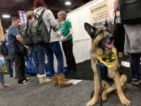 Tripawds Foundation Booth at WVC 2018