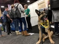 Team Tripawds at WVC 2018