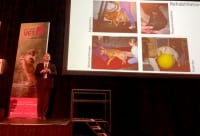 WWVC Wild West Vet Conference Dr Denis Marcellin-Little