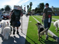 Final mile of Puppy Up 2000 Mile Walk