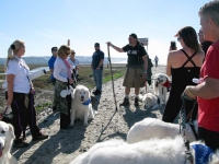 Final mile of Puppy Up 2000 Mile Walk