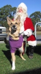 Meeting Santa at the Shelter 2 Weeks after Surgery
