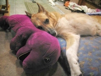 One Year After Diagnosis and Amputation