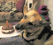 Celebrating One Year after Osteosarcoma Surgery