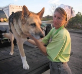 Getting a Canine Cancer Checkup One Year after Diagnosis