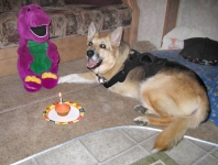 Happy Ninth Birthday to Me!