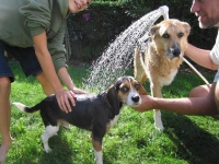 Getting a bath with Buzz Lightyear