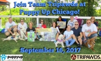 Tripawds PuppyUp Chicago