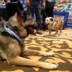 Tillman and Wyatt at BlogPaws