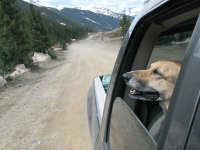 20080518w_outwindow01