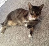 25987973300_a0f78cb1ee_z