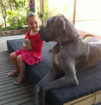 Emma And Huckleberry