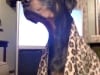 Three Legged Doberman Osteosarcoma Emily