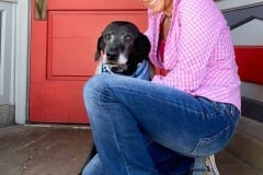 Senior Tripawd Cotee