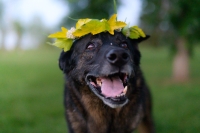 Gabriel from Alberta