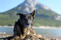 Gabriel from Alberta