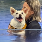 Three legged hydrotherapy swimming