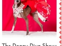 Olive Doggy Diva